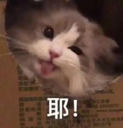 撒娇表情包图片吸猫