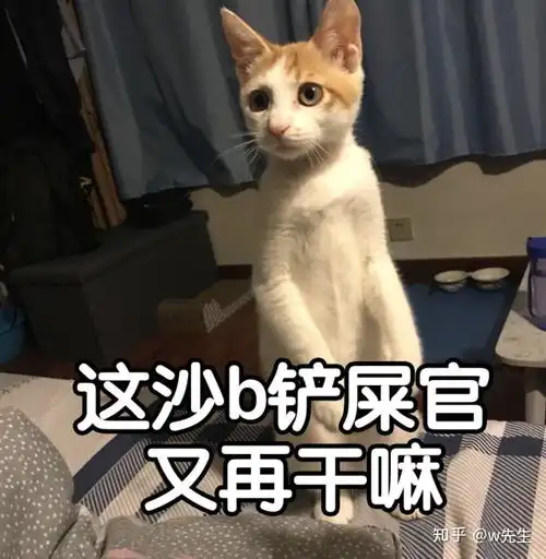  怎样给自家猫p一个酷酷的表情包