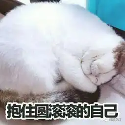  prēe减肥不能减快乐,超低卡.纯手工冰淇淋陪你浪漫一夏