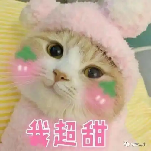  教师的酸甜苦辣分宜二小优秀教师代表发言
