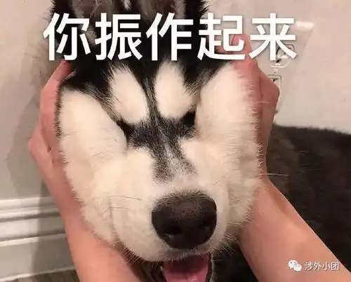  听说看了这篇推文的同学,期末考试都过了
