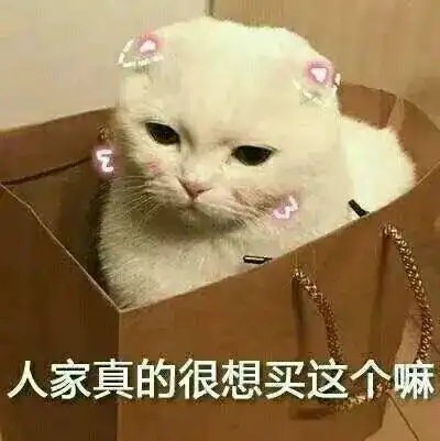 撩女友表情包猫咪