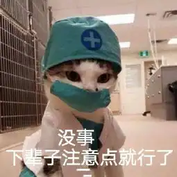  斗图表情包精选合集左青龙右白虎,把你削成二百五
