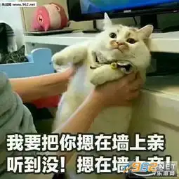 微信春节定制表情包主子