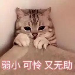  妖风肆虐墙塌了树倒了滨州变成了一座稍微没有点体重就会被吹飞的小城
