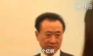  装逼四大境界刘强东不知老婆漂亮,马云不喜欢钱,王健林一无所有,马化腾只是普通人
