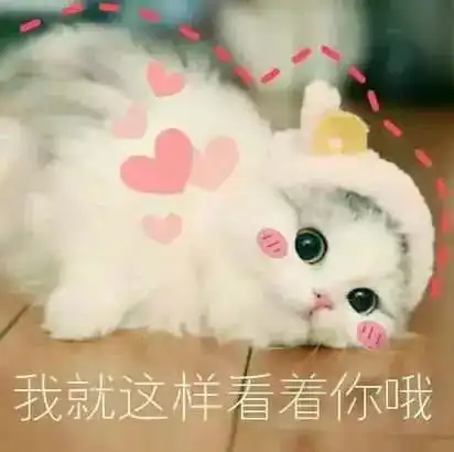 谢谢的可爱表情包教师节