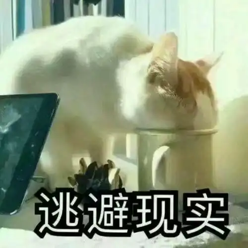 表情包小女孩长大了段子