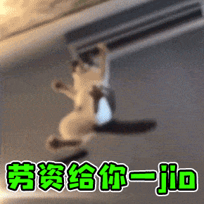 cc猫动态表情包青驼镇