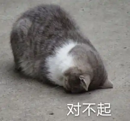  一大波猫咪表情包,快收藏吧