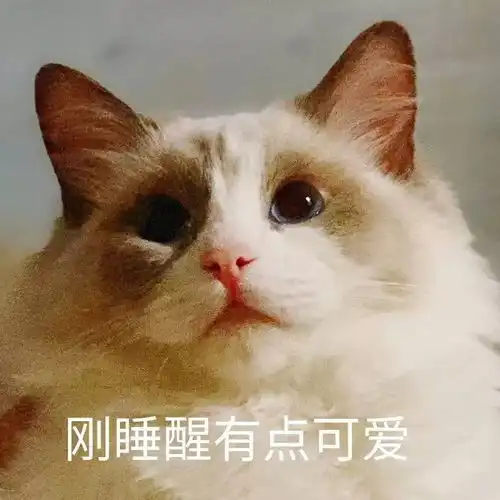  经常养生早睡早起的你有点可爱