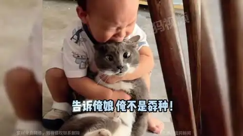 小孩崩溃抱猫大哭,猫咪表情亮了,猫他说的都是我的词