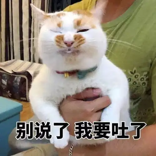  楼楼是怎么死的