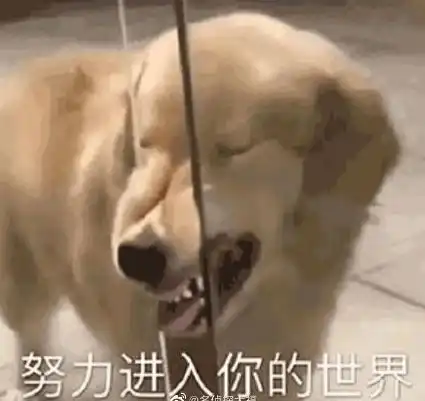  醉了,狂烧400亿,建了一地的奇葩烂尾楼