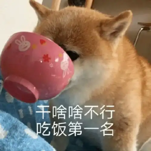  青微矩阵干饭王,皇家美食,快到碗里来