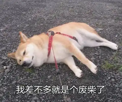  switch版音游pianista钢琴师,游戏够硬核,难也是真的难