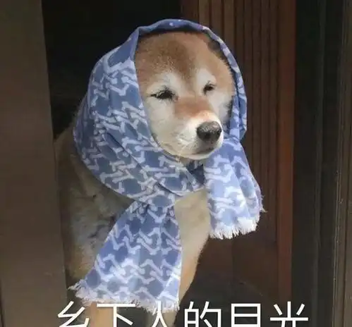  郑爽踩着10cm恨天高练形体,还要走出潇洒的女明星步伐太拼了