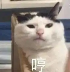  被你爱过之后,我很难觉得别人是真的爱我