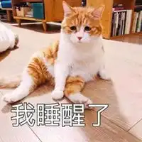  刚睡醒懵的图片