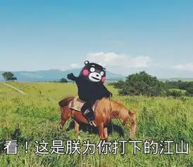  和最萌表情包熊本熊一起跑步是怎样的体验跑游记