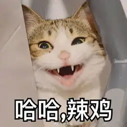  台风台风今年第4号台风将于明晚至后天凌晨登陆海南