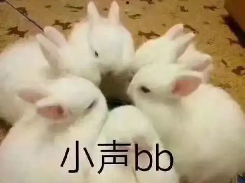 网红懒懒兔表情包生日快
