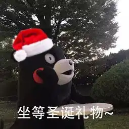  表情包有人给我买圣诞礼物吗