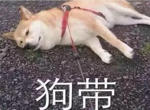  剪刀石头布,老子不赢你,我就不去睡觉