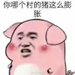  都这么膨胀了地铁站惊现野猪,一路小跑......