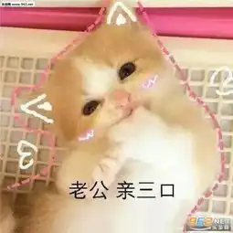  女生撒娇可爱猫咪图片猫咪要抱抱表情包下载乐游网游戏下载