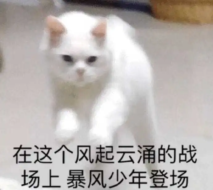  买买买