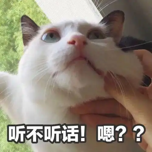  无码高清曝光福州这些行人电动自行车闯红灯被抓拍了