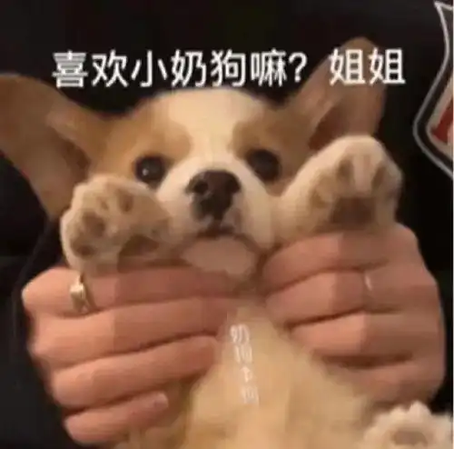  闺蜜偷拍我的丑照发到直男大群这也太婊了吧