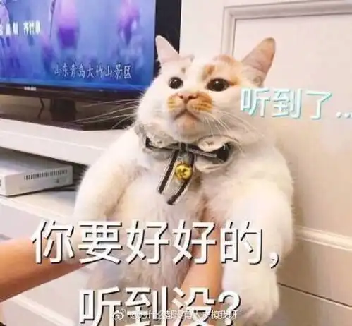  初代网红表情包相继离世愿小天使们一路走好