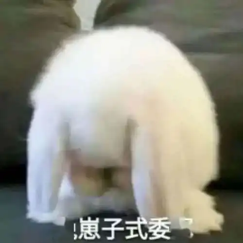  像极了你的聊天记录