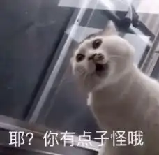  你老婆睡了吗我想你了