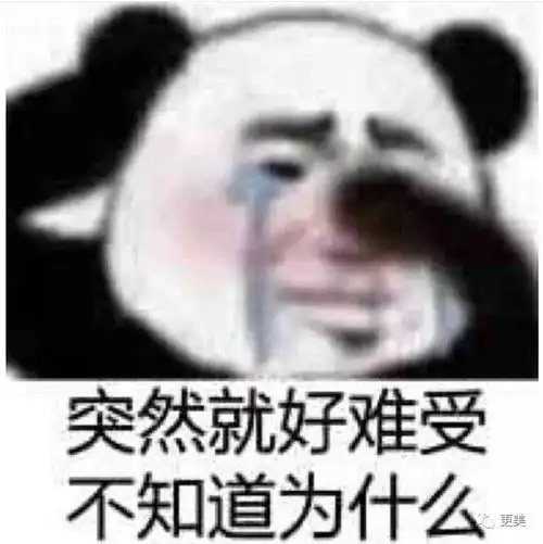  浪姐吴昕快被她逼到退赛了