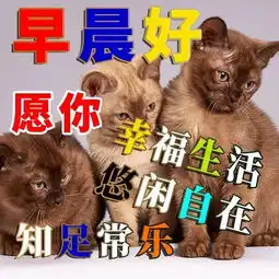  三月初四早晨好祝福语问候语表情早晨好图片大全