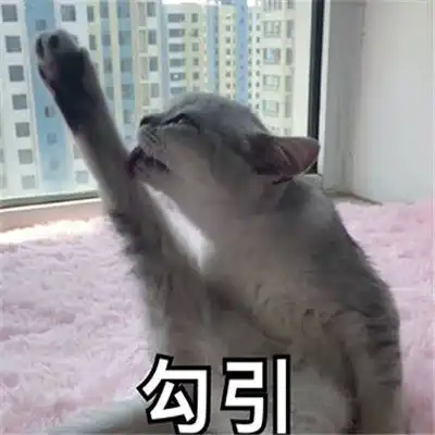  2021聊天专用可爱表情包
