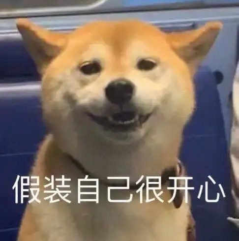  萌宠表情包我在姐姐怀里