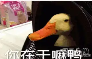 奋斗表情包经典鸭鸭