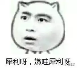  微信群斗图必备皮皮虾我们走,南昌宁专用表情包