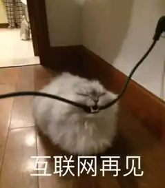  豆瓣9.4,超越舌尖的舔屏大作把我馋哭了