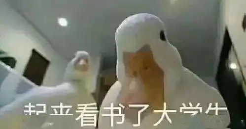  大学生寒假生存指南,再不看就晚了