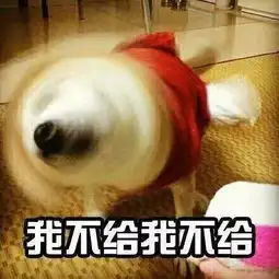  高密人还觉得缴社保没用吗直接给我钱多好这种想法只能害了你自己