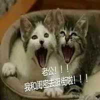  老公表情包猫咪微信头像图片大全