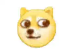  饭人心水如果说二哈是狗中的表情帝,那柴犬绝对就是个小戏精