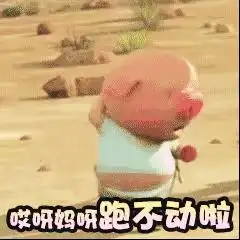 猪生气表情包动图gif
