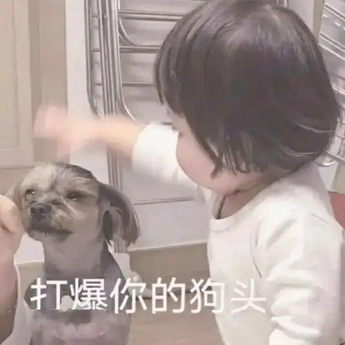  今日表情推荐,125