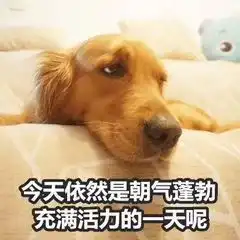  流量的歌没人听问题不就是因为要花钱买专辑吗